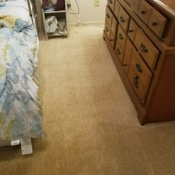 Bedroom Carpet Stain