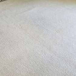 Carpet Cleaning #10