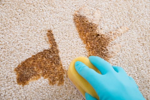 Keeping Carpets Clean During Holidays