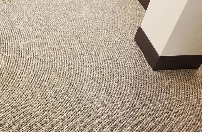  Our Carpet Specialists Apply Protector To Your Carpet