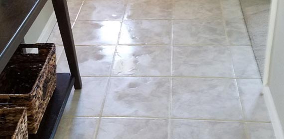 Carpet Cleaning Services in El Dorado | The Carpet Specialists