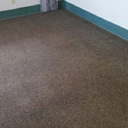 Carpet Cleaning #27