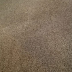 Carpet Cleaning #34