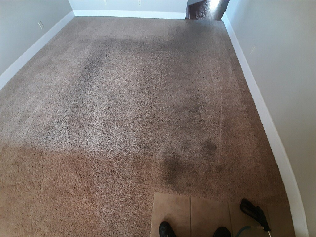  carpet wear and tear 