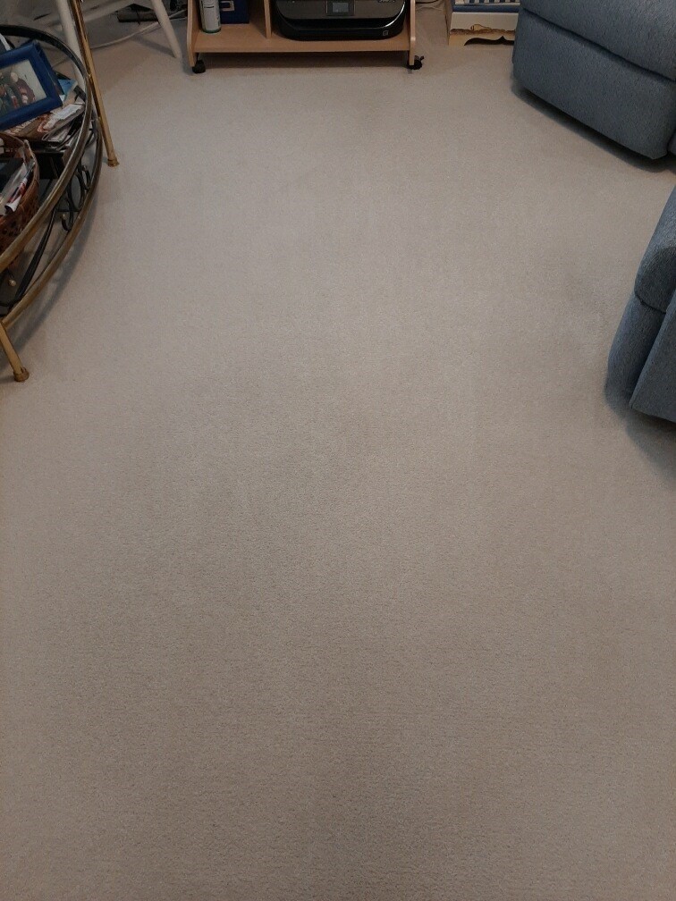Carpet Cleaning Dirt