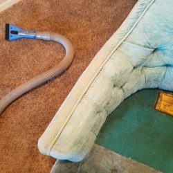 Upholstery Cleaning After