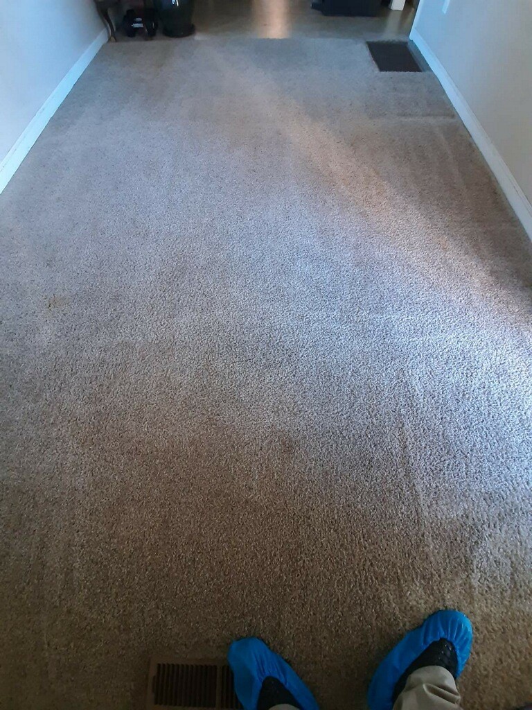 Carpet stains
