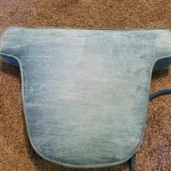 Chair cushion cleaning