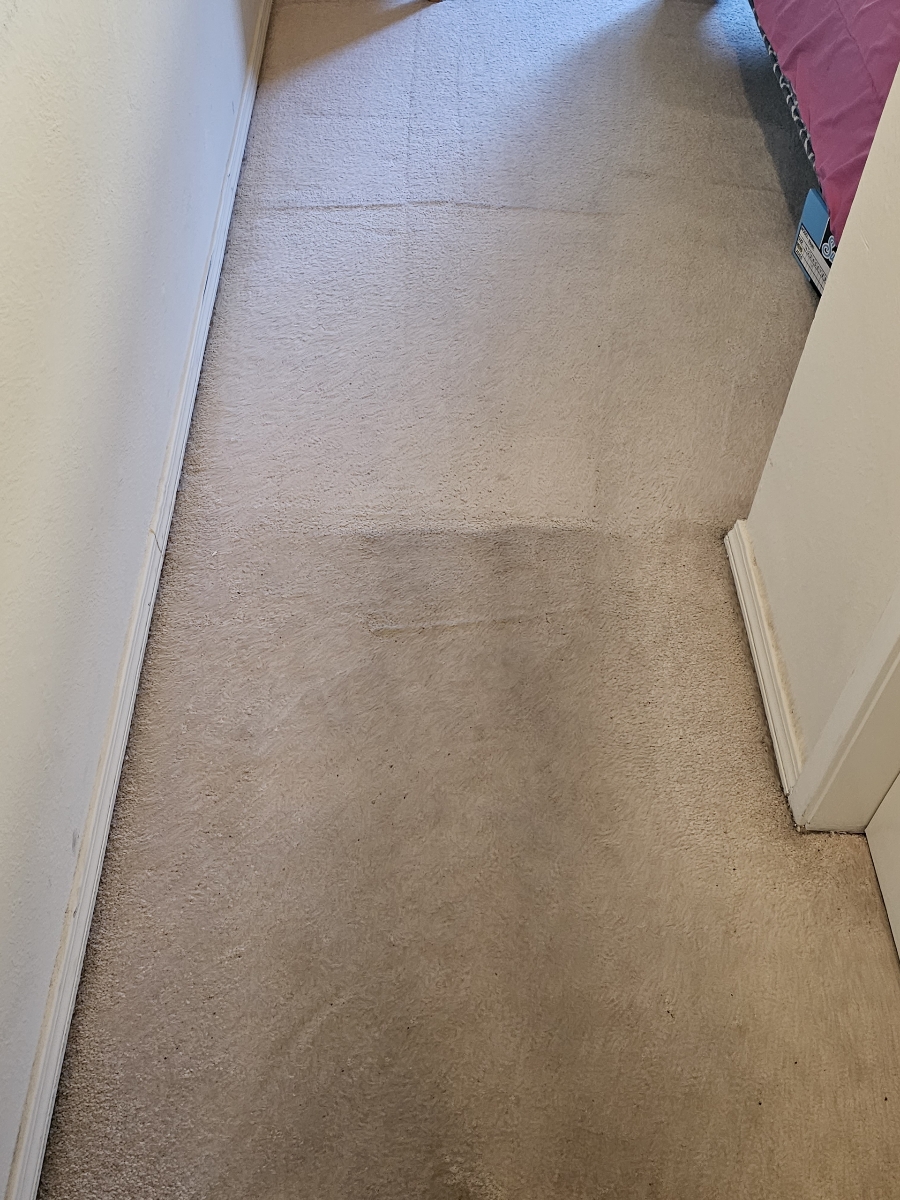 Carpet Cleaning