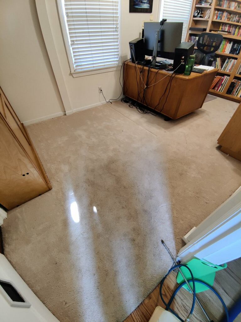 Carpet Cleaning