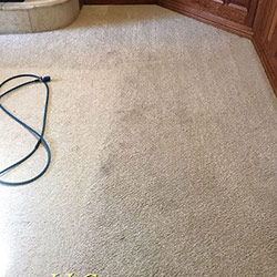 Carpet Cleaning #2