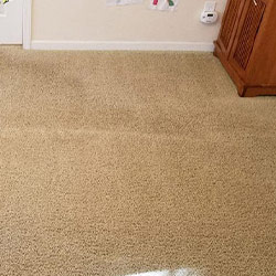 Carpet Cleaning #15