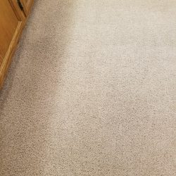 Entry Way Carpet Cleaning