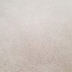 Carpet Cleaning #19