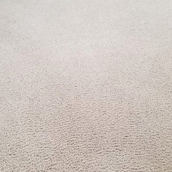 Carpet Cleaning #19
