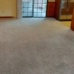 Carpet Cleaning #40