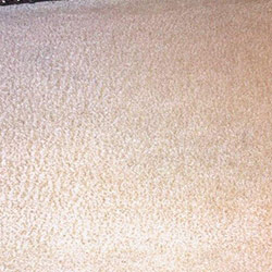 Carpet Cleaning #41