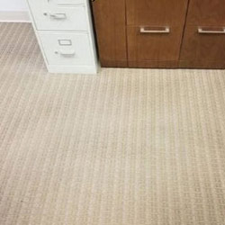 Carpet Cleaning #7