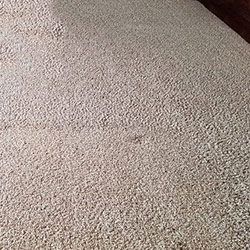Carpet Cleaning #9