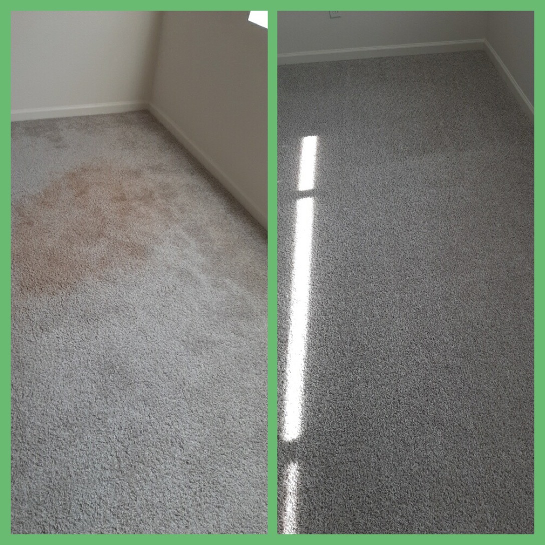 Carpet Cleaning Orange Spot