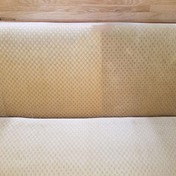 Upholstery Cleaning #10