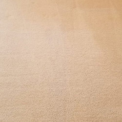 Carpet Cleaning #5