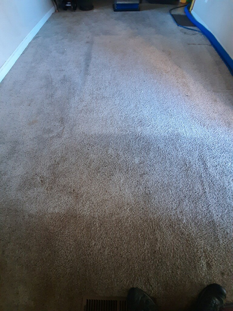 Carpet stains