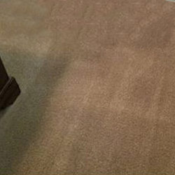 Carpet Cleaning #1