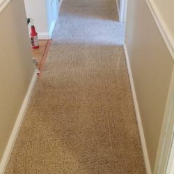 Hallway Carpet Cleaning