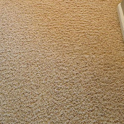 Carpet Cleaning #14