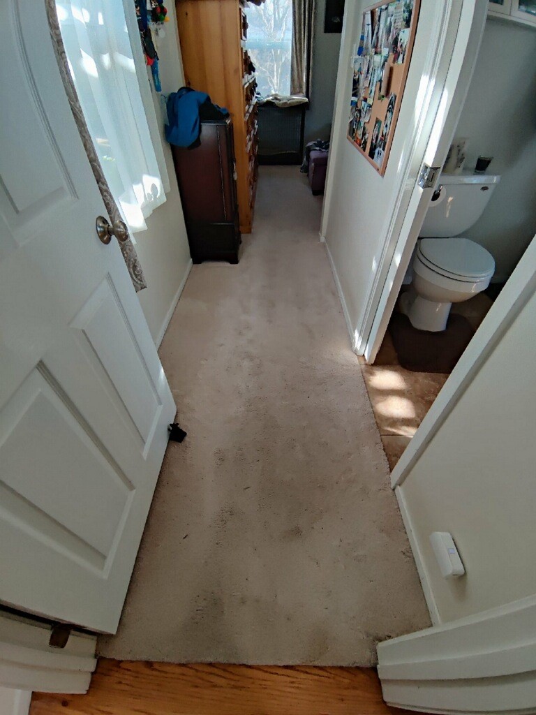 Hall before cleaning