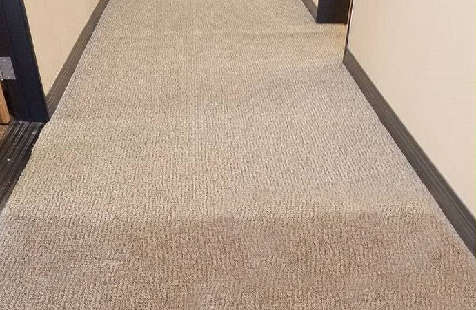 Professional Carpet Cleaning